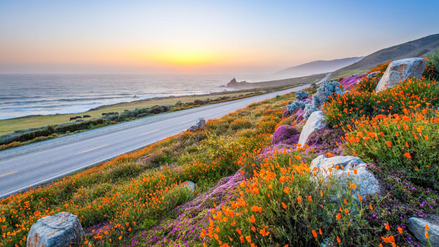 Costa del Pacífico, Pacific Coast Hwy, Big Sur, California, Estados Unidos