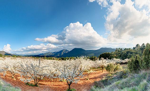 Valle del Jerte, Cáceres, Extremadura, España