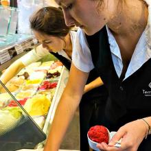 Dependientas sirviendo tarrinas de helado en Terre Adélice, Lyon, Francia