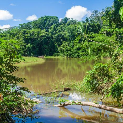 Parque Nacional Madidi, Bolivia