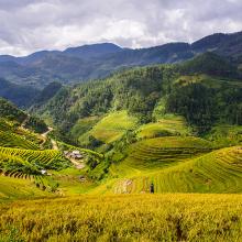 Campos de arroz de Mai Chau, Vietnam