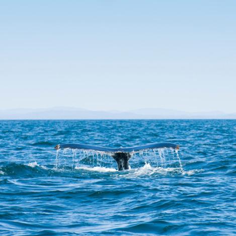 Bahía de Fundy, Canadá