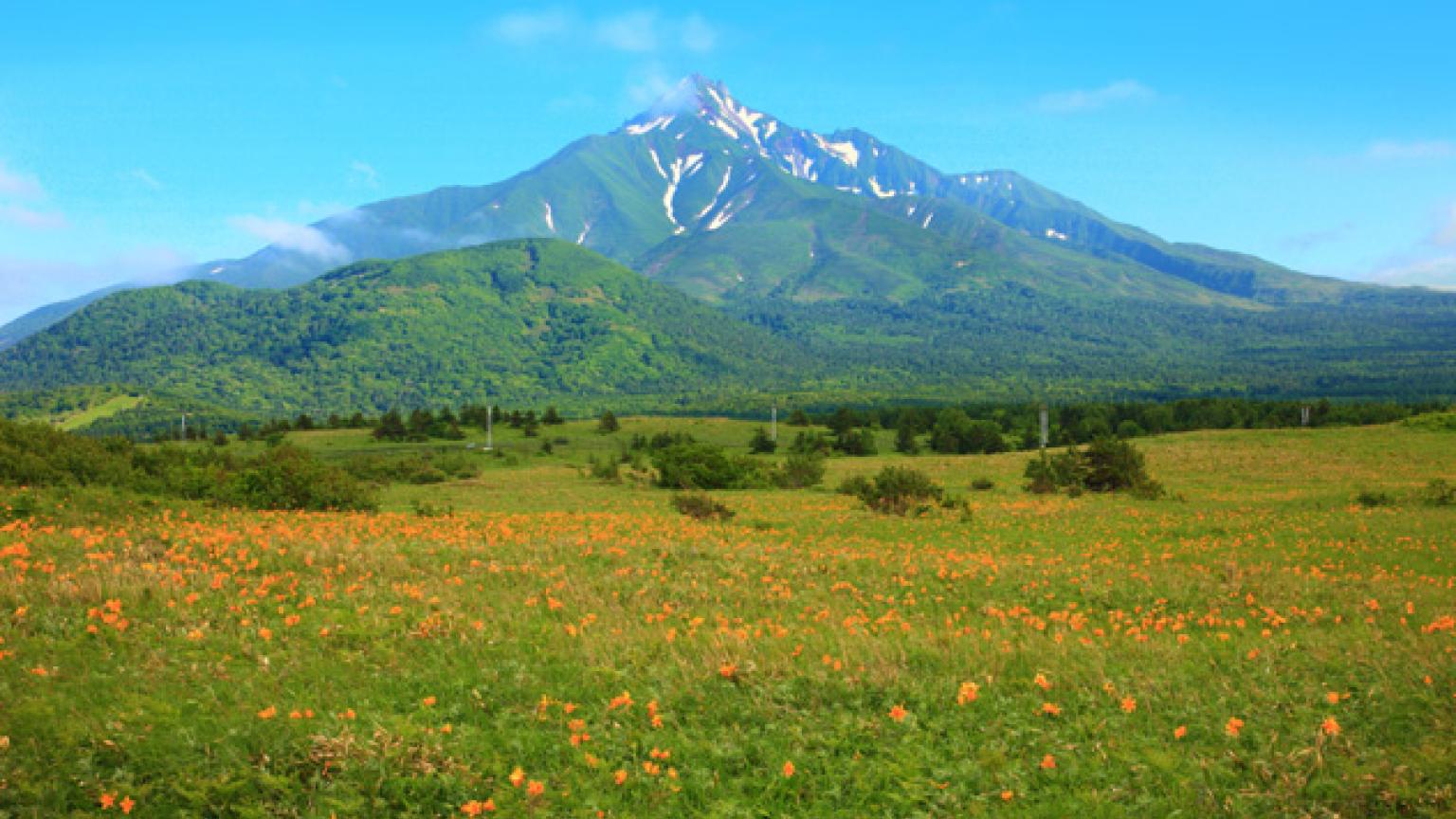 Las empinadas laderas volcánicas del monte Rishiri se alzan sobre un campo de flores silvestres próximo a la costa de Hokkaidō, Japón