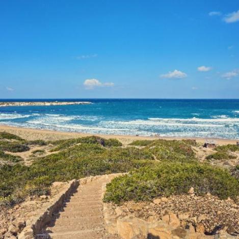 Playa de Lara, Chipre.