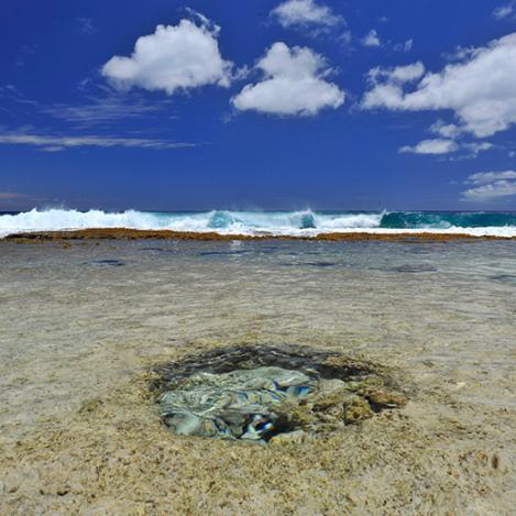 Piscina y mar de ‘Atiu, Islas Cook
