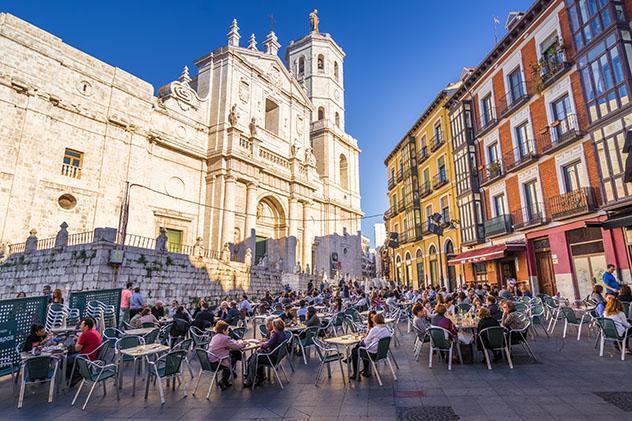 Plaza de la catedral de Valladolid, provincia de Valladolid, Castilla y León, España