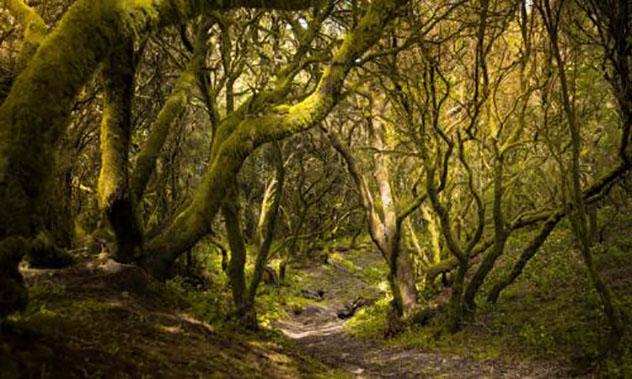 Ruta de senderismo por El Hierro: Camino de la Llanía