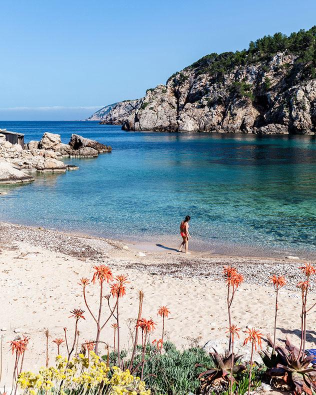 Cala d