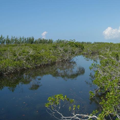 Parque Nacional Lucayan, Bahamas