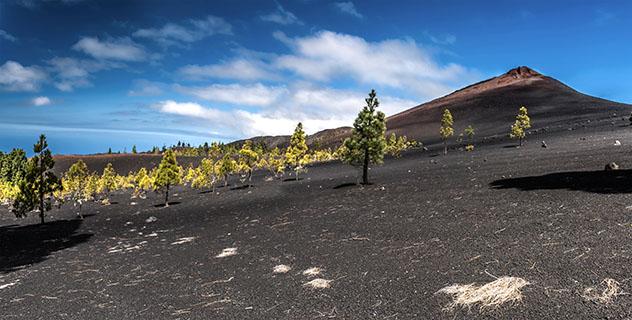 El Teide, Tenerife, Canarias, España © Kochneva Tetyana / Shutterstock