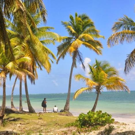 Île-à-Vache, Haití