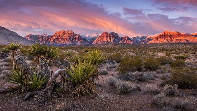 Red Canyon Rock, Las Vegas, EE UU © William Ducklow / Shutterstock