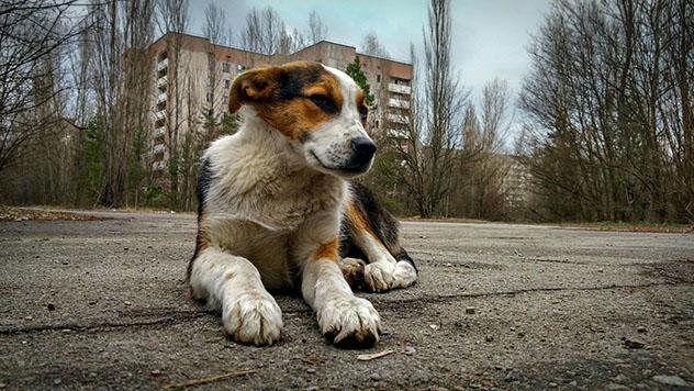 Un viaje virtual a Chernóbil, Pripyat, Ucrania