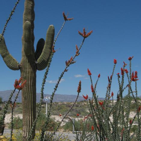 Springs Preserve, Las Vegas, EE UU