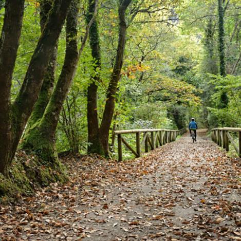 Senda del Oso, Asturias, España