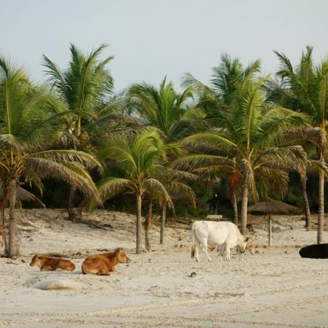 Cap Skiring, Senegal