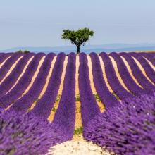 Provence-Alpes-Cote d'Azur, Francia