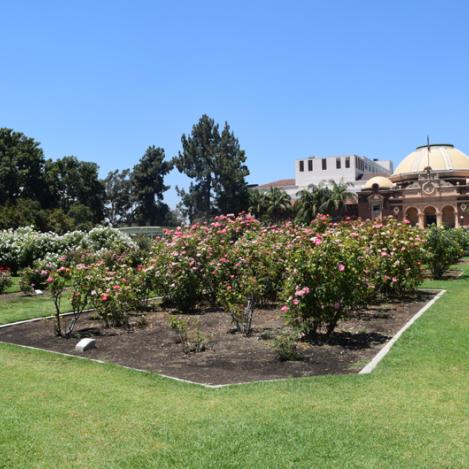 Exposition Park Rose Garden, Los Ángeles, Estados Unidos