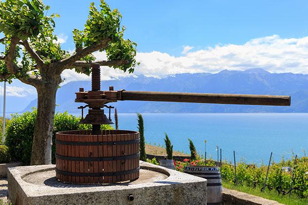 Prensa antigua de uva en un viñedo de la famosa región de Lavaux, Vevey, Suiza © sarenac77/ Shutterstock