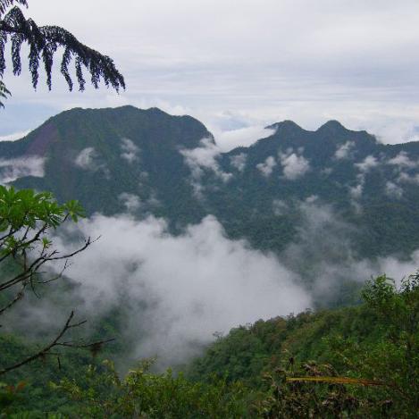 Kolombangara, Islas Salomón