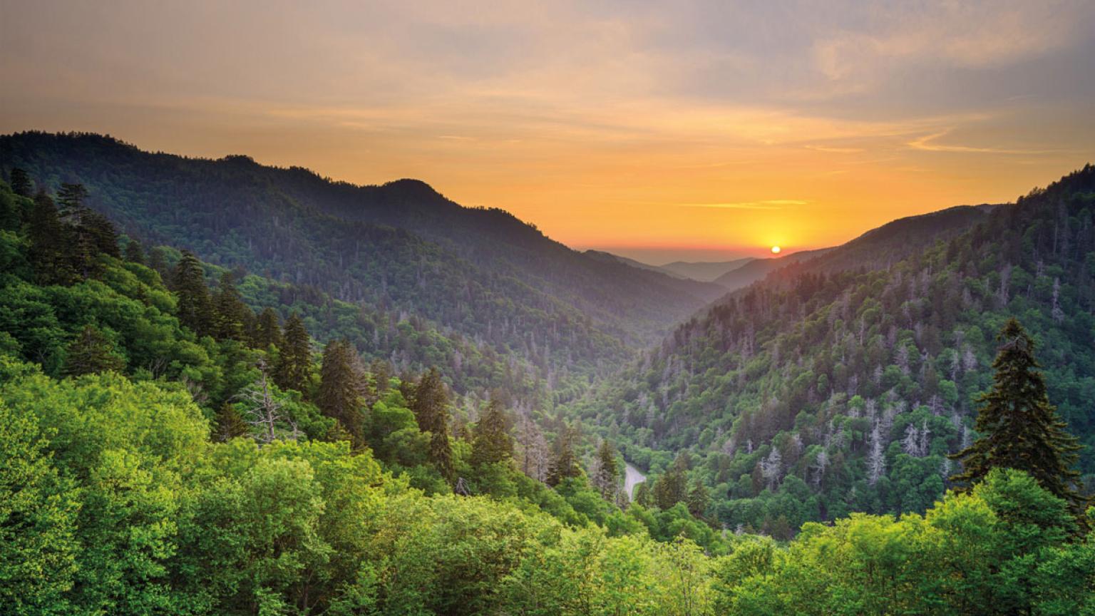 Parque Nacional de las Great Smoky Mountains, EE UU