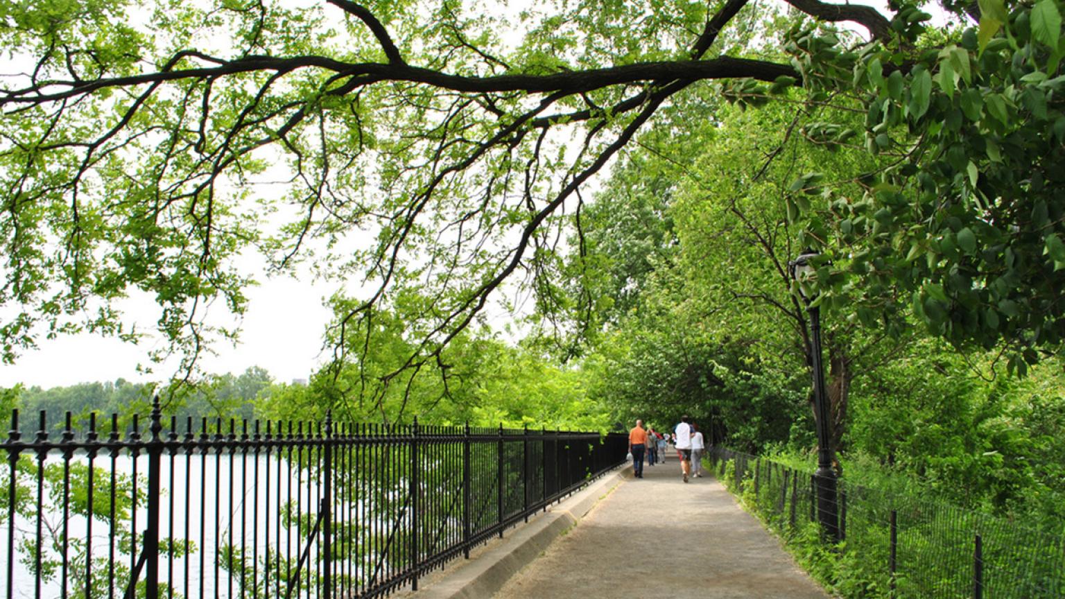 Reservoir del Central Park, Nueva York, Estados Unidos