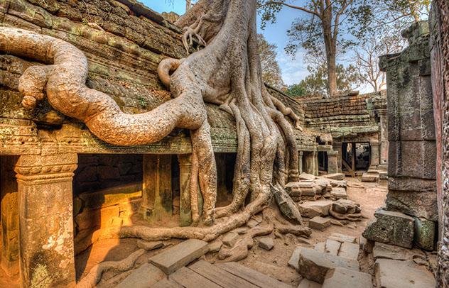 Templo Ta Prohm, Angkor, Siem Reap, Camboya © Tim Pryce / Shutterstock