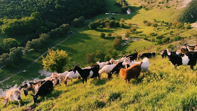 Butuceni, Parque Nacional Viejo Orhei, Moldavia © Alexander Spatari / Getty Images