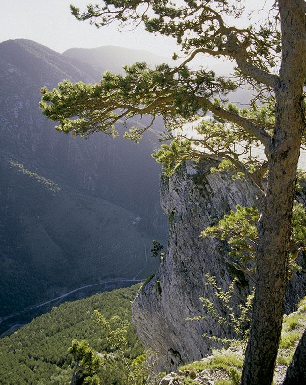 Cataluña interior del norte: camino al Pedraforca