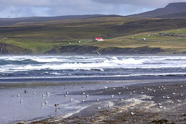 Playas y acantilados de la península de Tjörnes, Arctic Coast Way, Islandia © photolike / Shutterstock