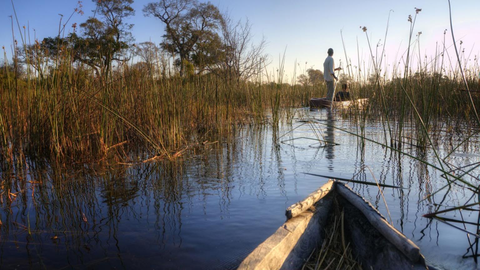 Un paseo en barco por el delta del Okavango, Botsuana
