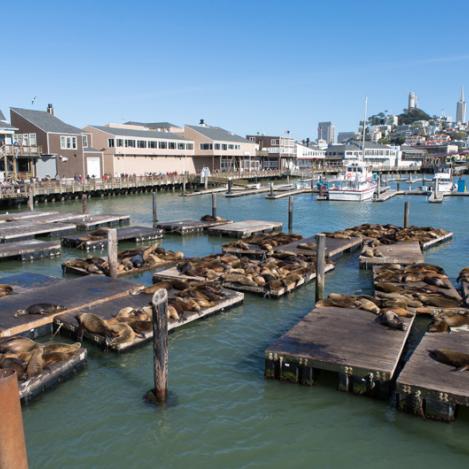 Fisherman’s Wharf, San Francisco, Estados Unidos