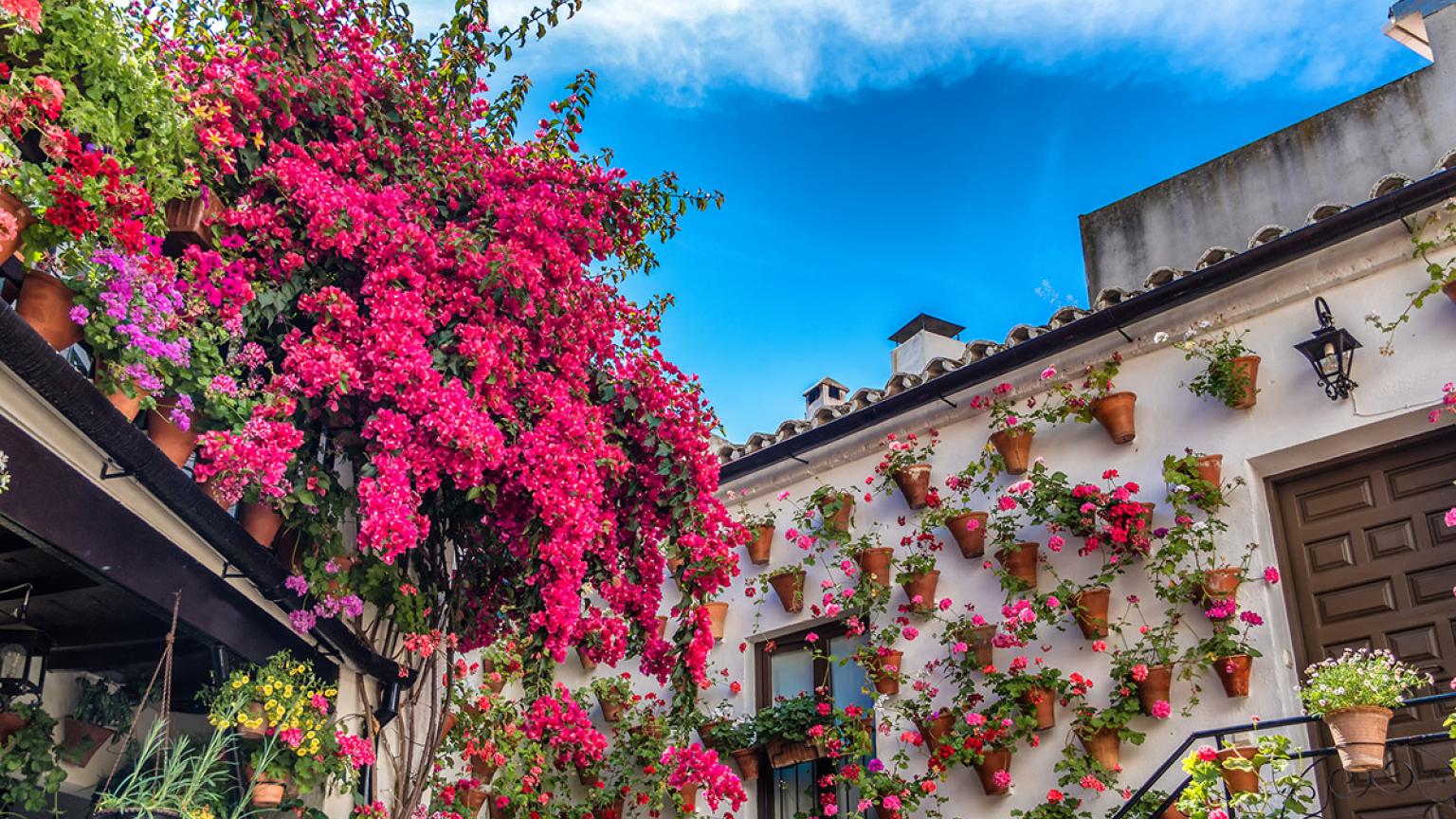 Fiesta de los Patios de Córdoba, Andalucía, España