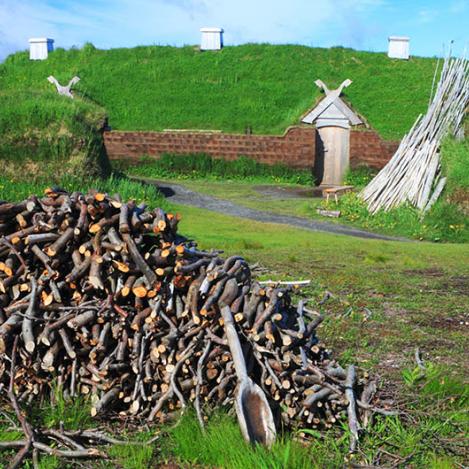Viking Trail