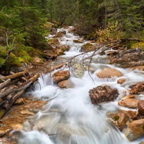 Parque Nacional Suizo, Suiza
