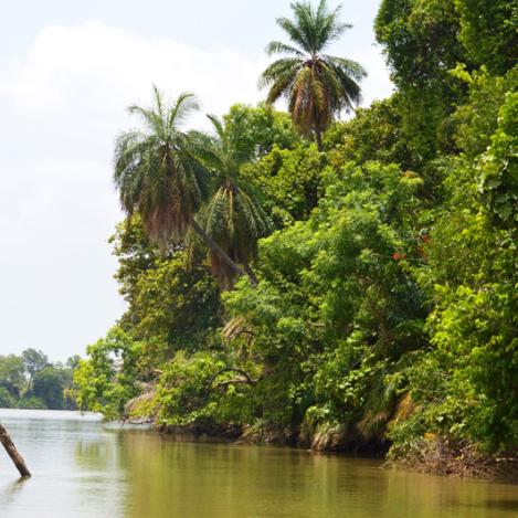 Janjangbureh, Gambia
