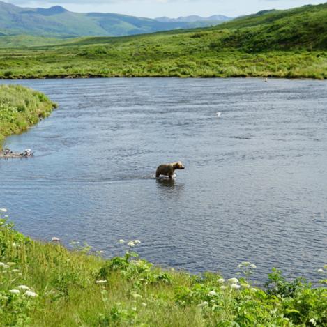 Isla de Kodiak, Alaska, EE UU