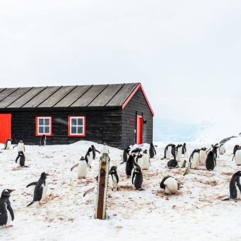 Bransfield House británica, Port Lockroy, Antártida