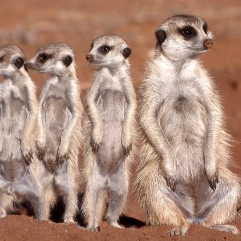 Namibia