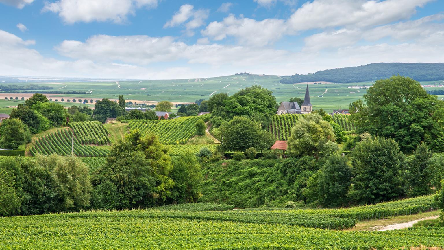 Reims, Grand-est, Francia