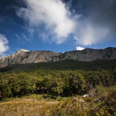 Parco Naturale Regionale delle Madonie