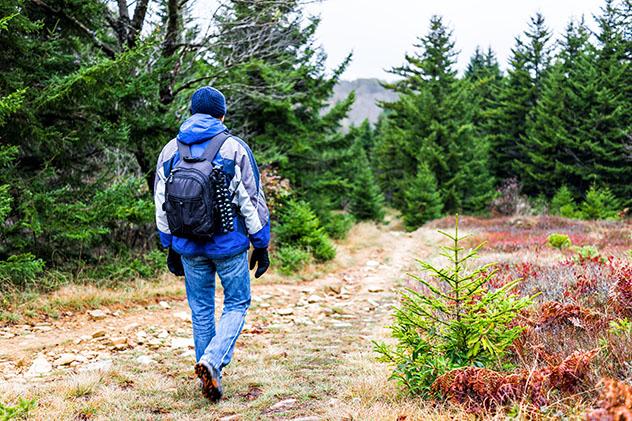 Para ponerse en pie y disfrutar de una nueva perspectiva en Appalachian Trail, EE UU © Gail Johnson / Shutterstock
