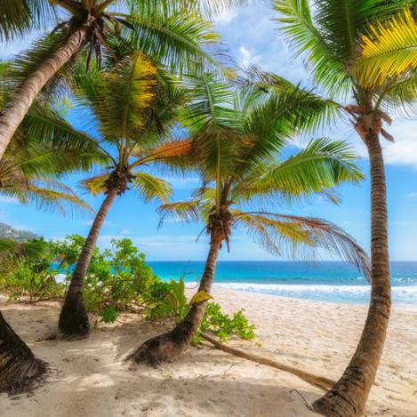 Anse Intendance, Seychelles