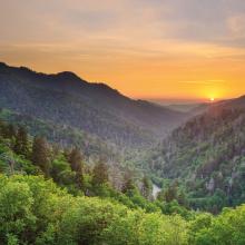 Parque Nacional de las Great Smoky Mountains, EE UU
