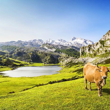 Lagos de Covadonga, Asturias, España