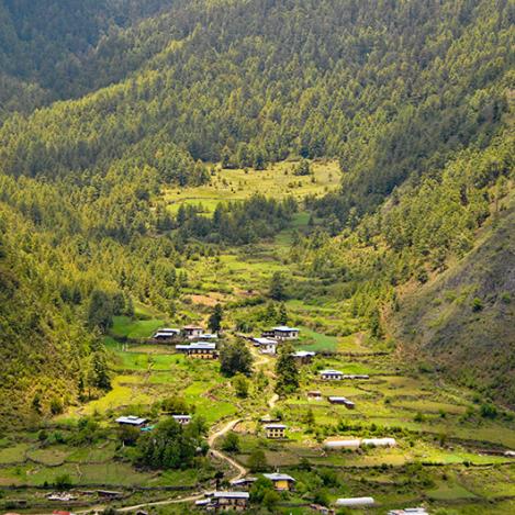 Valle de Haa