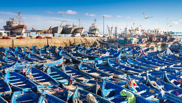 Un astillero lleno de barcos de pesca azules en Esauira © Matej Kastelic / 500px