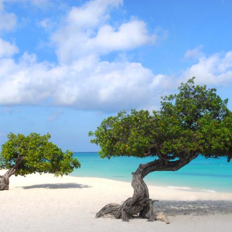 Eagle Beach, Aruba