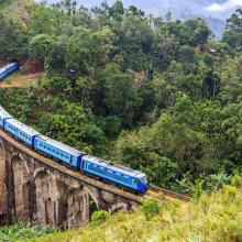 Tierras altas: tés, templos y excursiones, Sri Lanka
