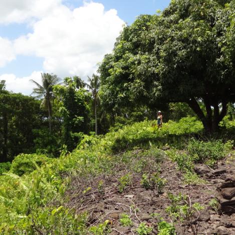 Montículo de Pulemelei, Samoa